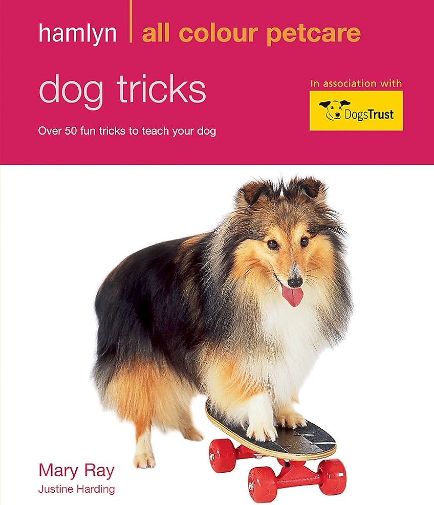 Dog Tricks