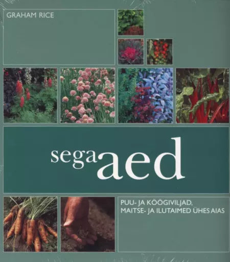 Segaaed