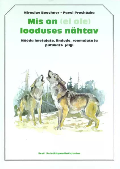 Mis on (ei ole) looduses nähtav