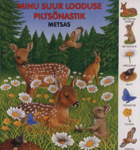 Minu suur looduse piltsõnastik - metsas