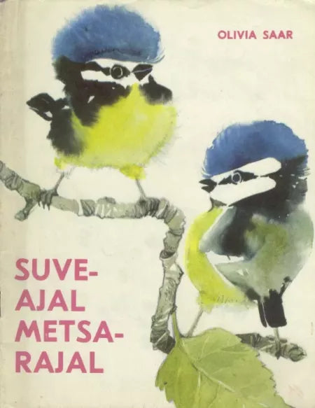 Suveajal metsarajal