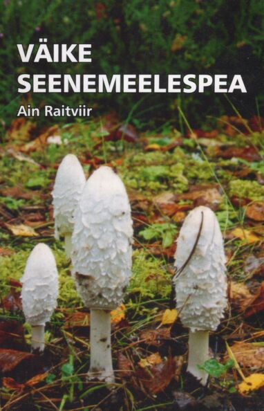 Väike seenemeelespea